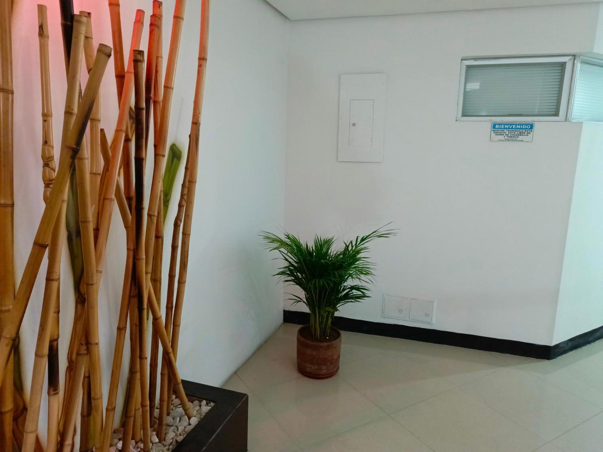 Hotel Spa Laureles Medellín Extérieur photo